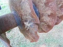 DSCN0962.JPG