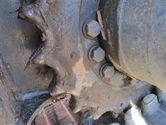 IMG_6481.JPG