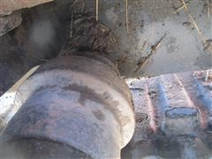 IMG_6484.JPG