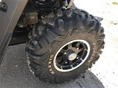 IMG_5429.JPG