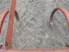 DSC02254.JPG