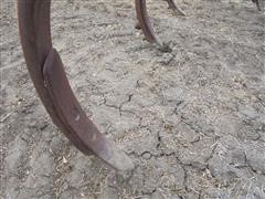 DSC02256.JPG