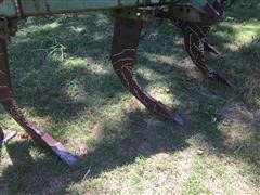 IMG_7168.JPG