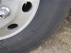 IMGP0679.JPG