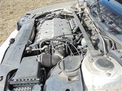 DSC00950.JPG