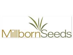 Millborn Logo.JPG