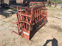 Tilting Calf Squeeze Chute 