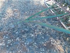 DSCN3447.JPG