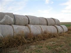 2016 Alfalfa First Cutting 