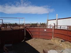 Livestock Systems Tub & Alley 
