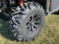 IMG_3547.JPG