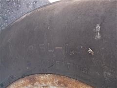 DSCF7110.JPG