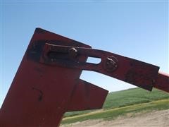 DSCF7127.JPG