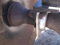 DSCF7133.JPG