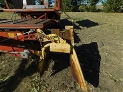 DSCN9123.JPG