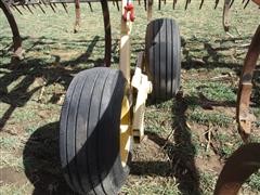 IMG_2802.JPG