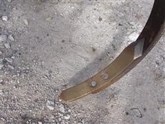 IMG_2206.JPG