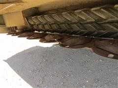 IMG_6775.JPG