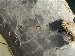 IMG_2233.JPG