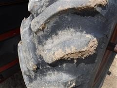 DSCF1219.JPG