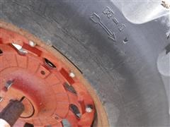DSCF1220.JPG