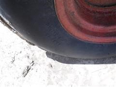 DSCF1227.JPG