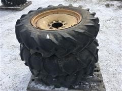 IMG_5858.JPG