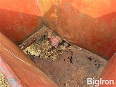 IMG_5704.jpeg