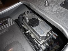 DSCN8424.JPG