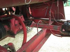 IMG_3137.JPG