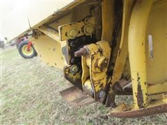IMG_3159.JPG