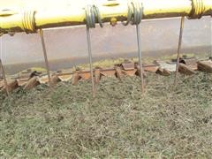 IMG_3162.JPG