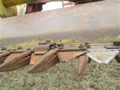 IMG_3163.JPG