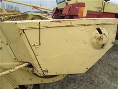 IMG_3165.JPG
