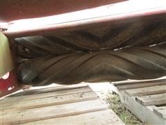 IMG_3217.JPG