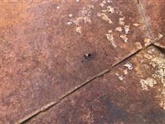 IMG_0754.JPG