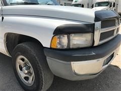 IMG_9982.JPG