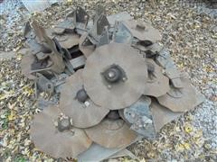 DSC05855.JPG