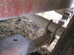 IMG_6165.JPG