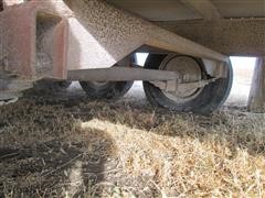 IMG_6168.JPG