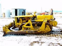 caterpillar-002.JPG