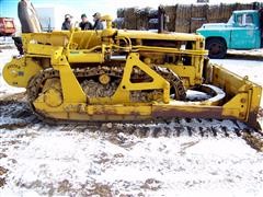 caterpillar-004.JPG