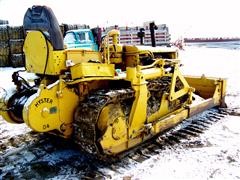 caterpillar-005.JPG