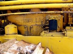 caterpillar-023.JPG