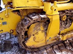 caterpillar-025.JPG