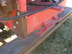 DSCF6016.JPG