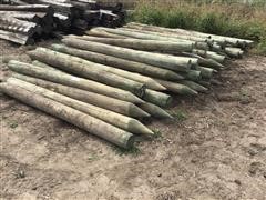 Pointed Wood Posts 