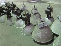 Metal Halide Lights 