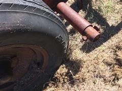 IMG_6382.JPG