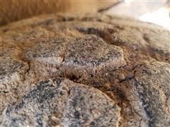 20180321_152821.jpg